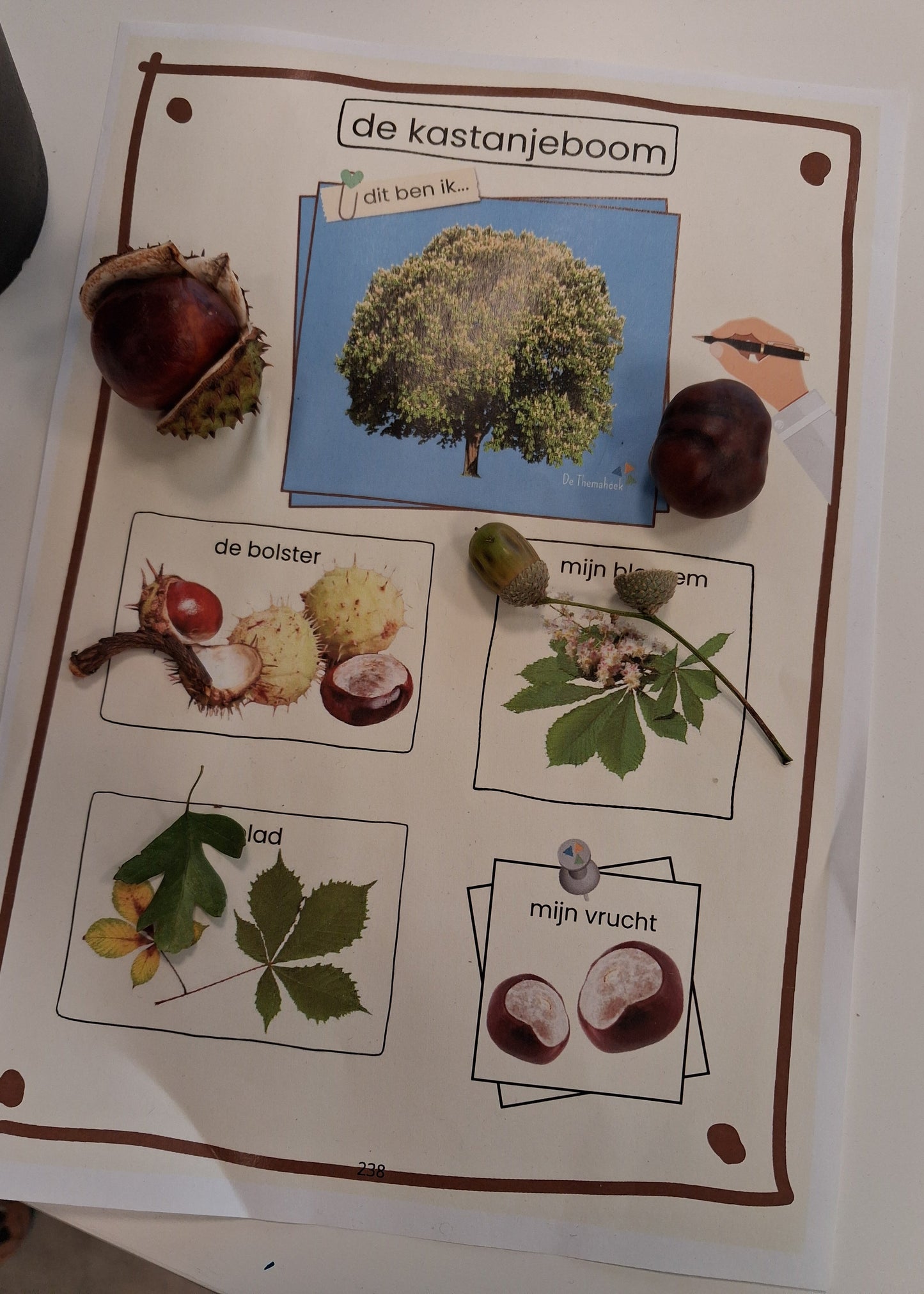 Bos themahoek aanvulling