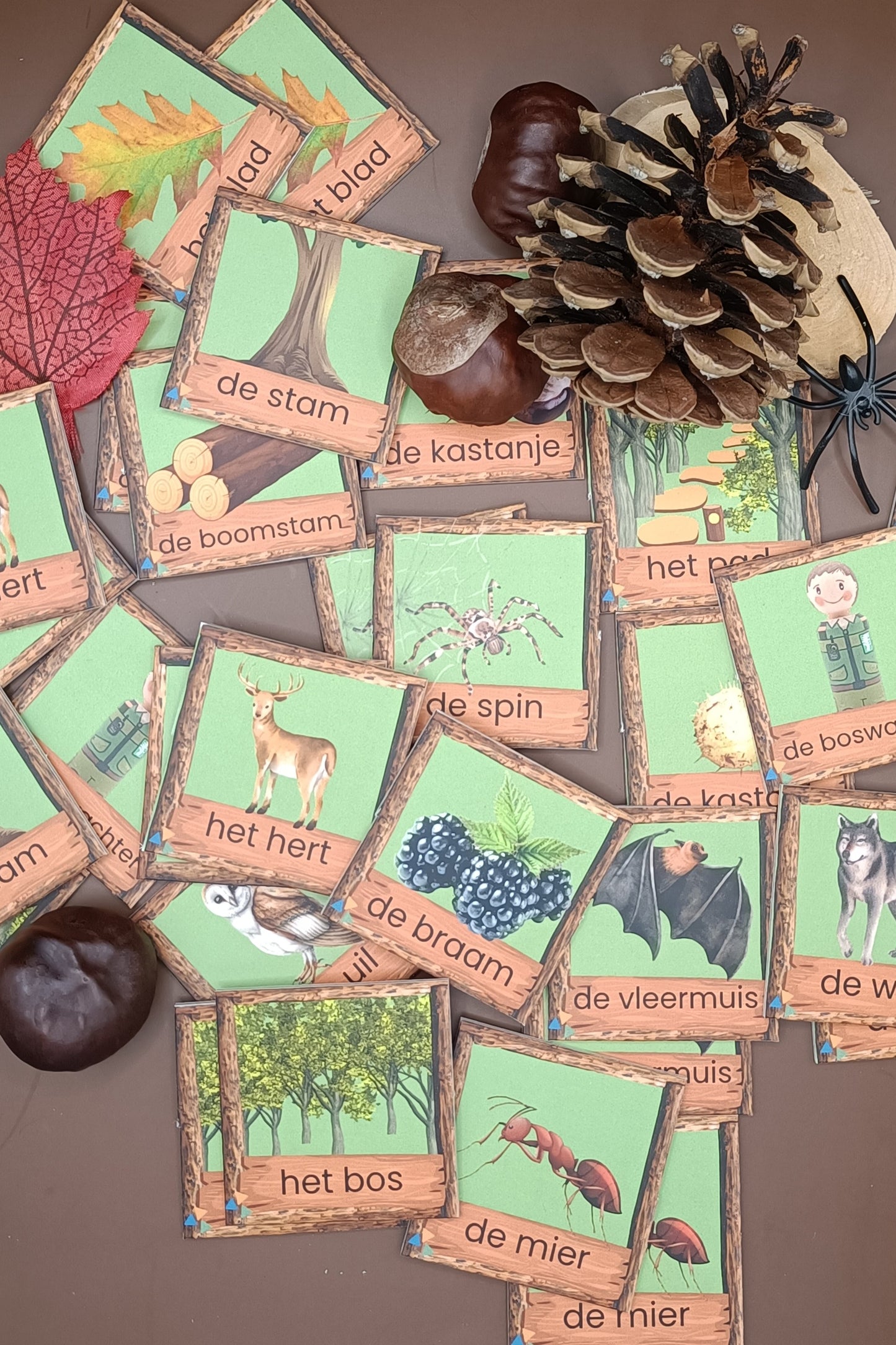 woordkaarten bos, kleuters, meertalige kinderen, themahoek bos, de themahoek