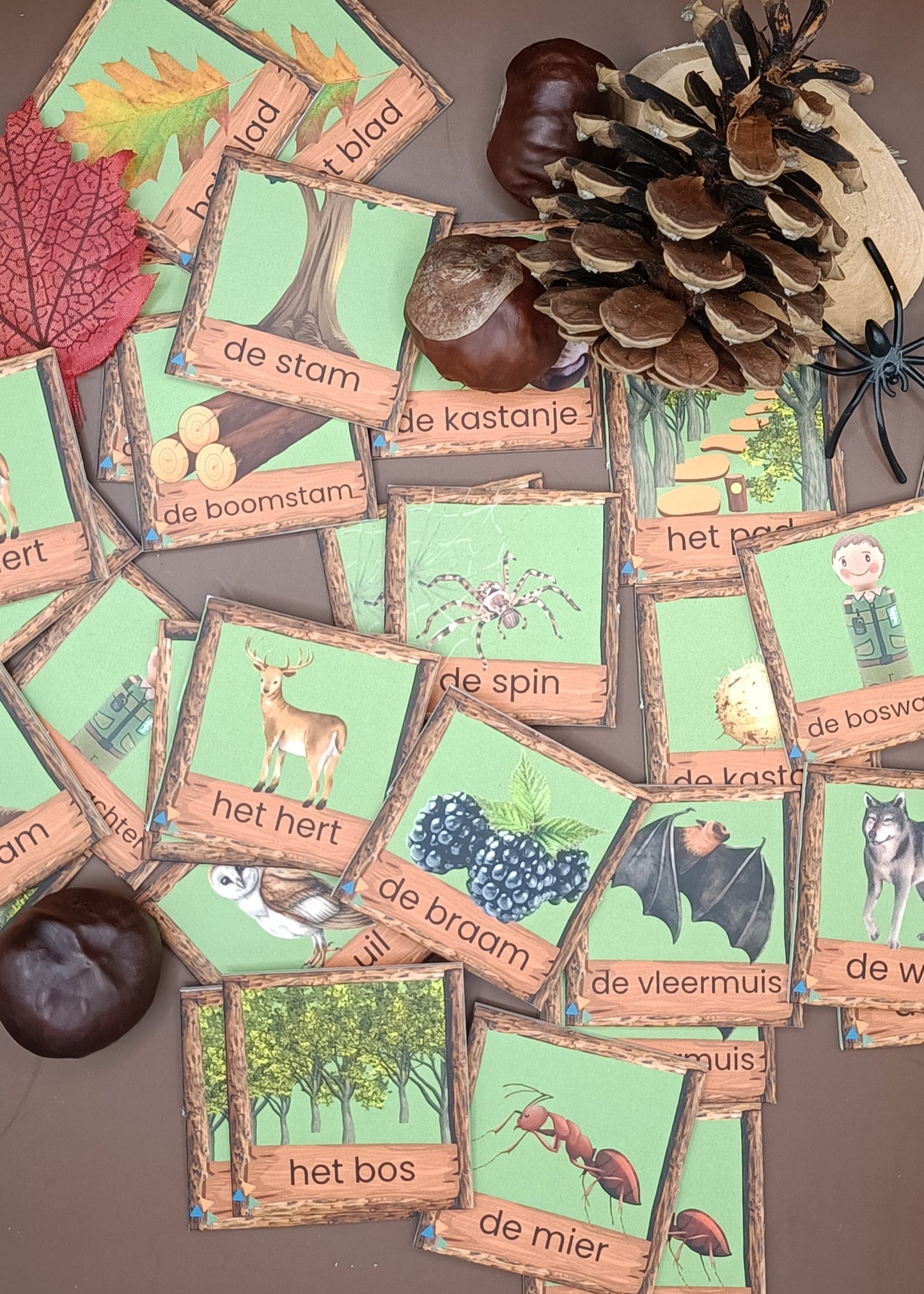 woordkaarten bos, kleuters, meertalige kinderen, themahoek bos, de themahoek, thema herfst, groep 1/2, memory
