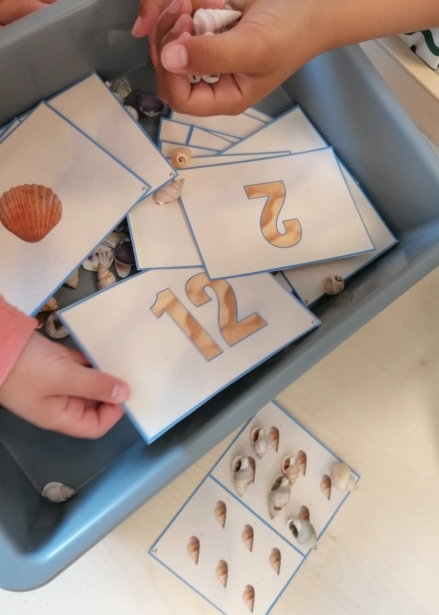 thema piraten, rekenen, kleuters, cijfers, cijferkaarten, tellen, telkaarten, schelpen tellen, thema de zee, thema strand, groep 1/2, cijferherkenning werkblad