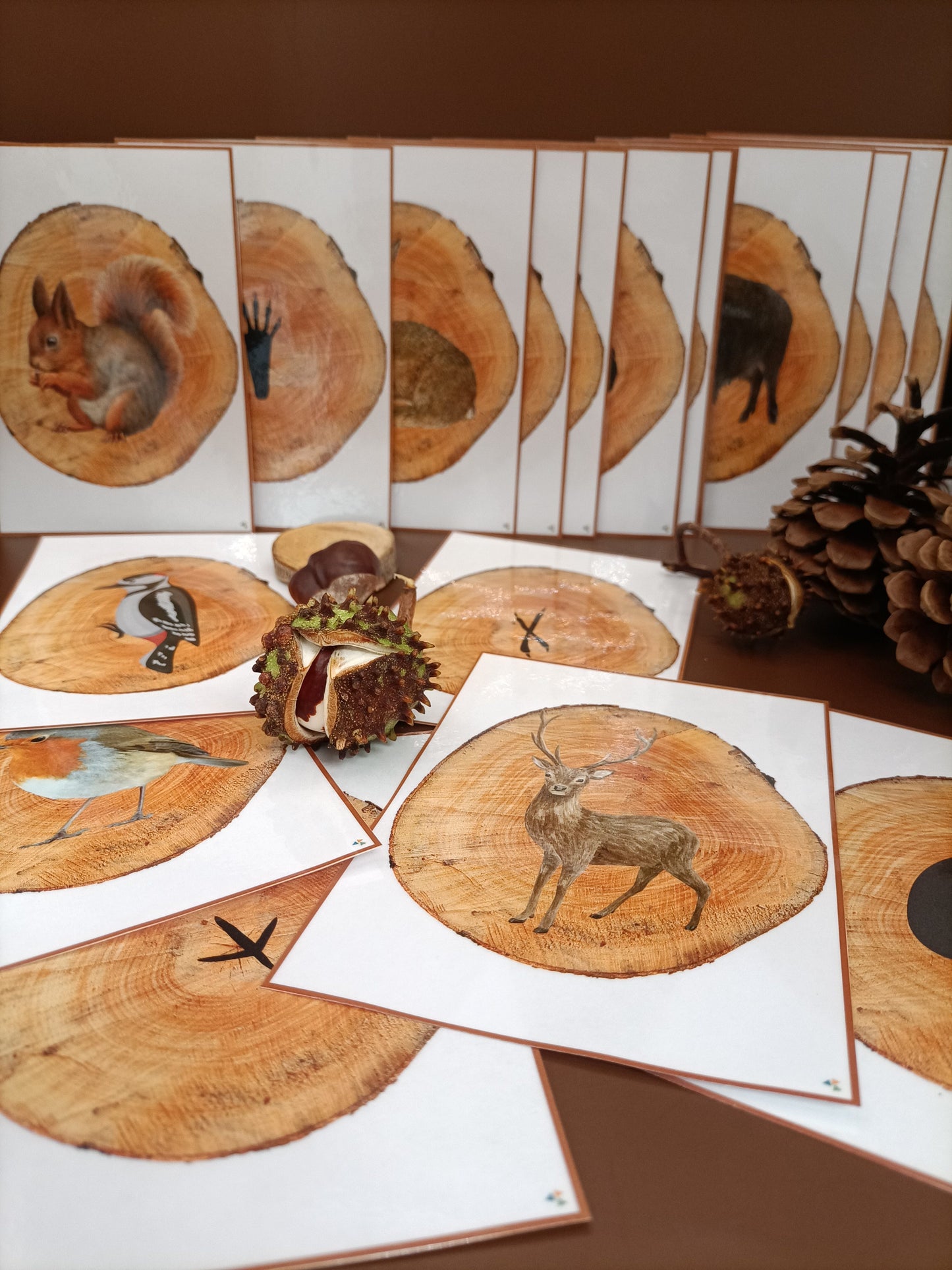 thema bos, kleuters, sporen dieren, dieren in het bos, bosdieren, groep 1/2, rekenen, themahoek bos, de themahoek, thema herfst, herfst