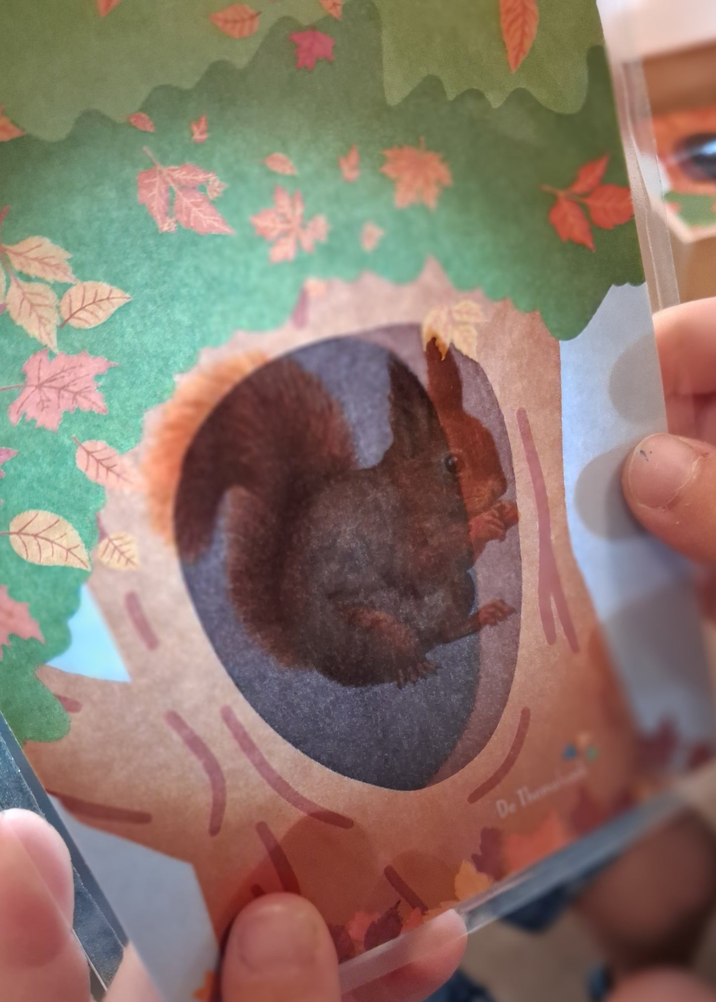 thema bos, thema herfst, bosdieren, kleuters, groep 1/2, woordenschat, bos, herfst, de themahoek, themahoek, themahoek bos, op avontuur in het bos, wat leeft er in het bos