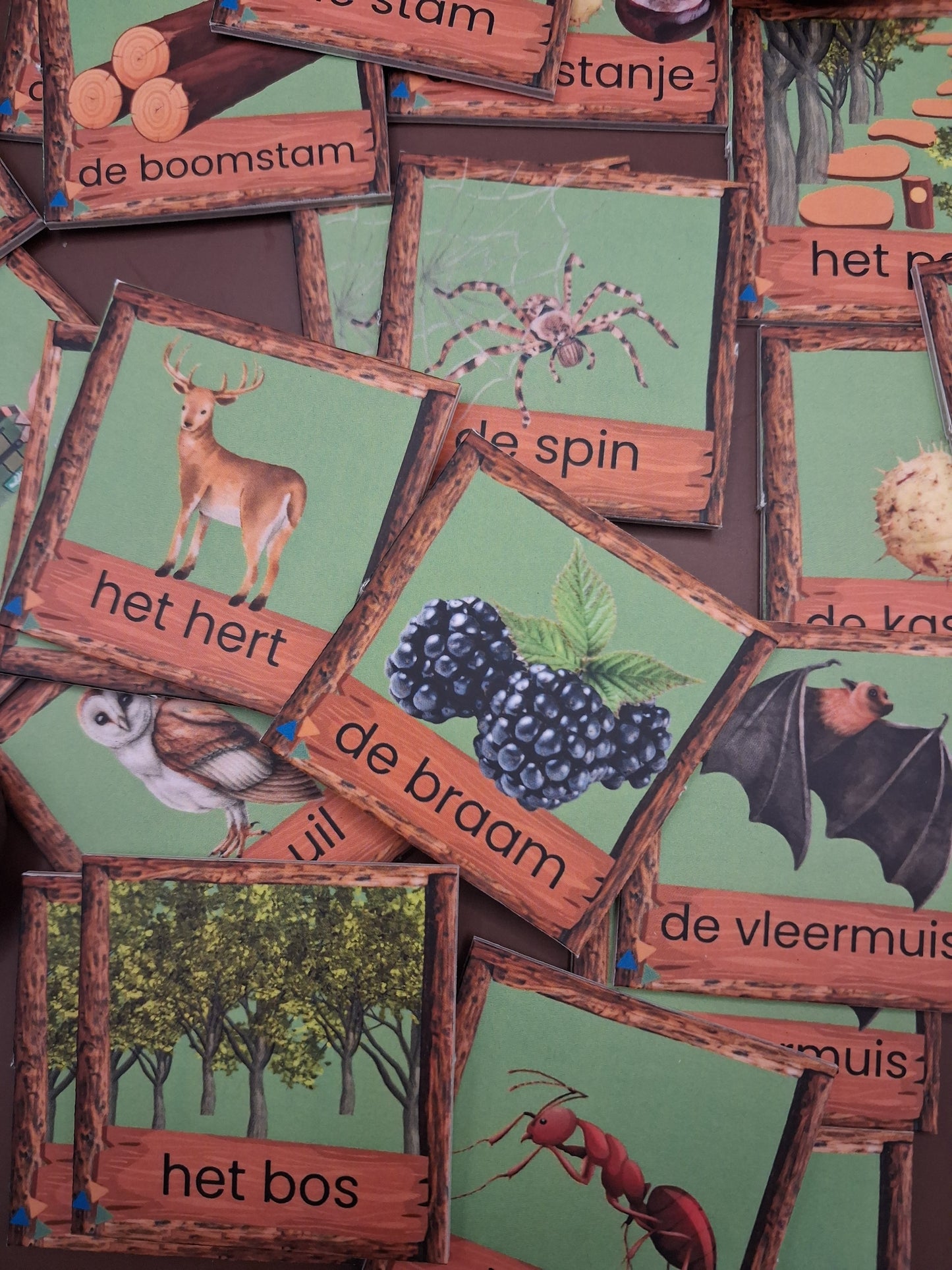 bos memeory groep 1/2, thema bos, thema herfst, herfst spel, bos spel, de themahoek, themahoek bos, woordenschat bos kleuters, woordenschat herfst
