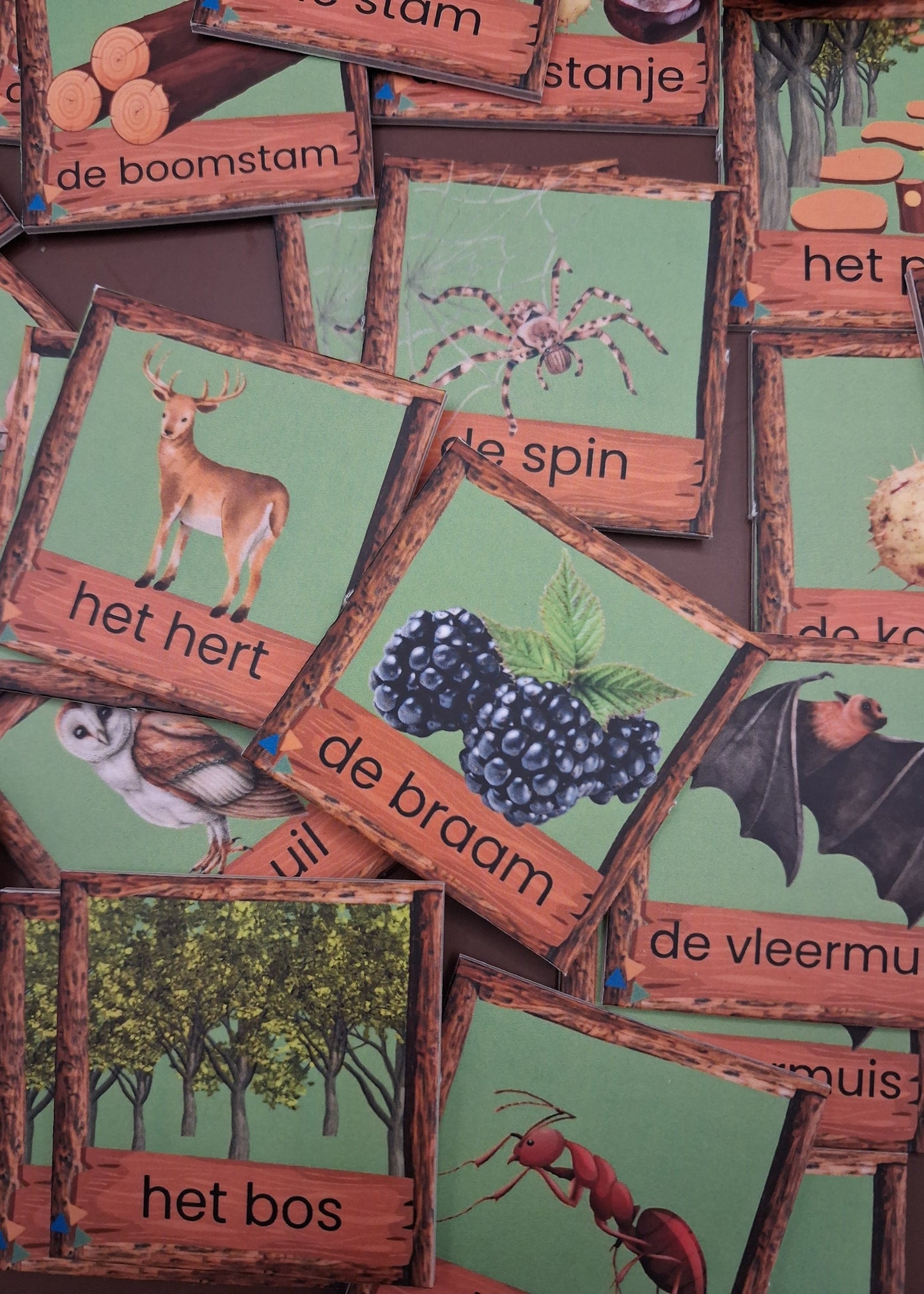 bos memeory groep 1/2, thema bos, thema herfst, herfst spel, bos spel, de themahoek, themahoek bos, woordenschat bos kleuters, woordenschat herfst
