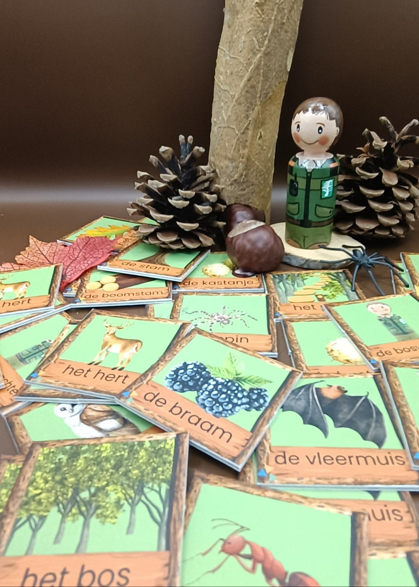 thema bos woordkaarten kleuters, bos memory, groep 1/2 thema bos, themahoek bos, de themahoek, woordenschat bos