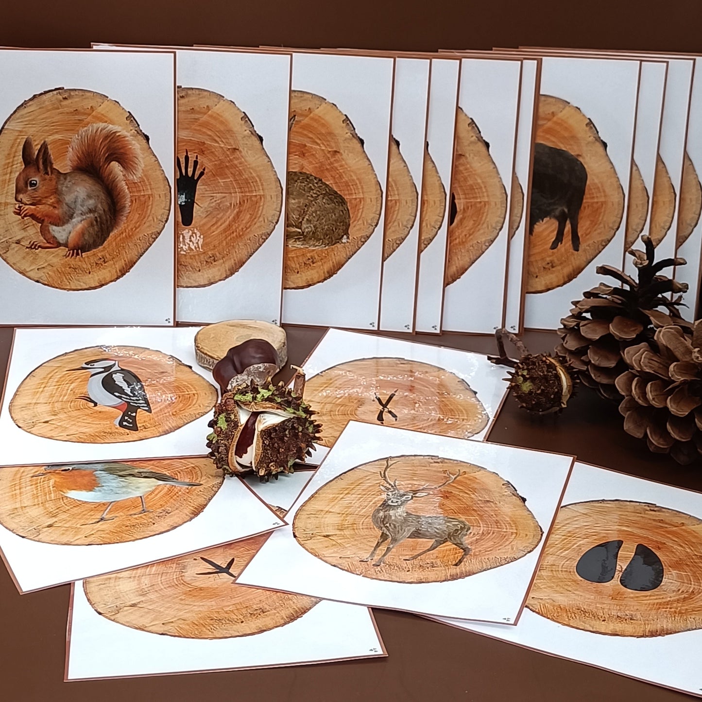 thema bos, sporen in het bos, kleuters, groep 1/2, rekenen thema bos, bosdieren spel, themahoek bos, themahoek, de themahoek