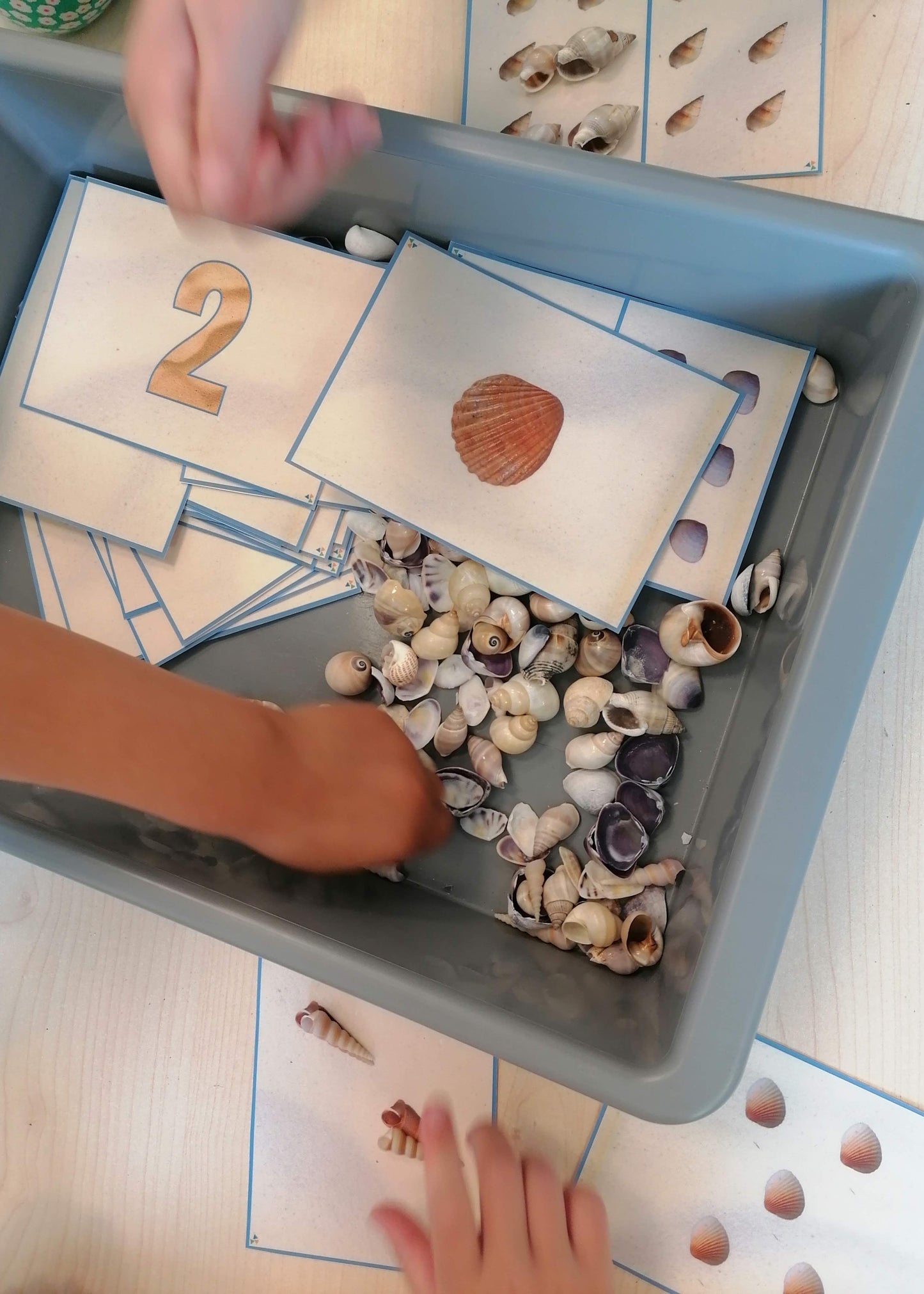 telkaarten piraten, groep 1/2, kleuters, cijferkaarten, thema piraten, themahoek piraten, thema de zee, thema het strand, schelpen tellen, rekenen, cijferherkenning kleuters, de themahoek