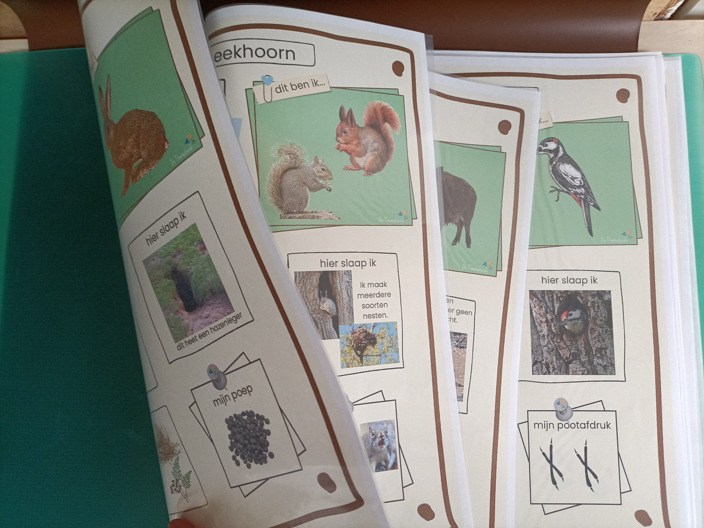 spelhoek groep 1/2, themahoek kleuters bos, thema bos groep 1/2, spelhoek, rollenkaartjes themahoek, de themahoek