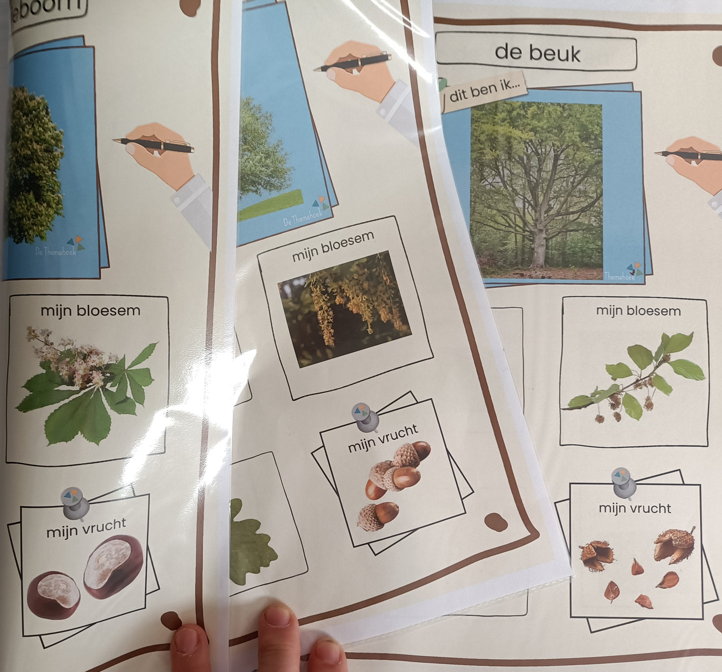 thema bos kleuters, themahoek kleuters bos, thema bos groep 1/2, spelhoek, rollenkaartjes themahoek, de themahoek, thema bos