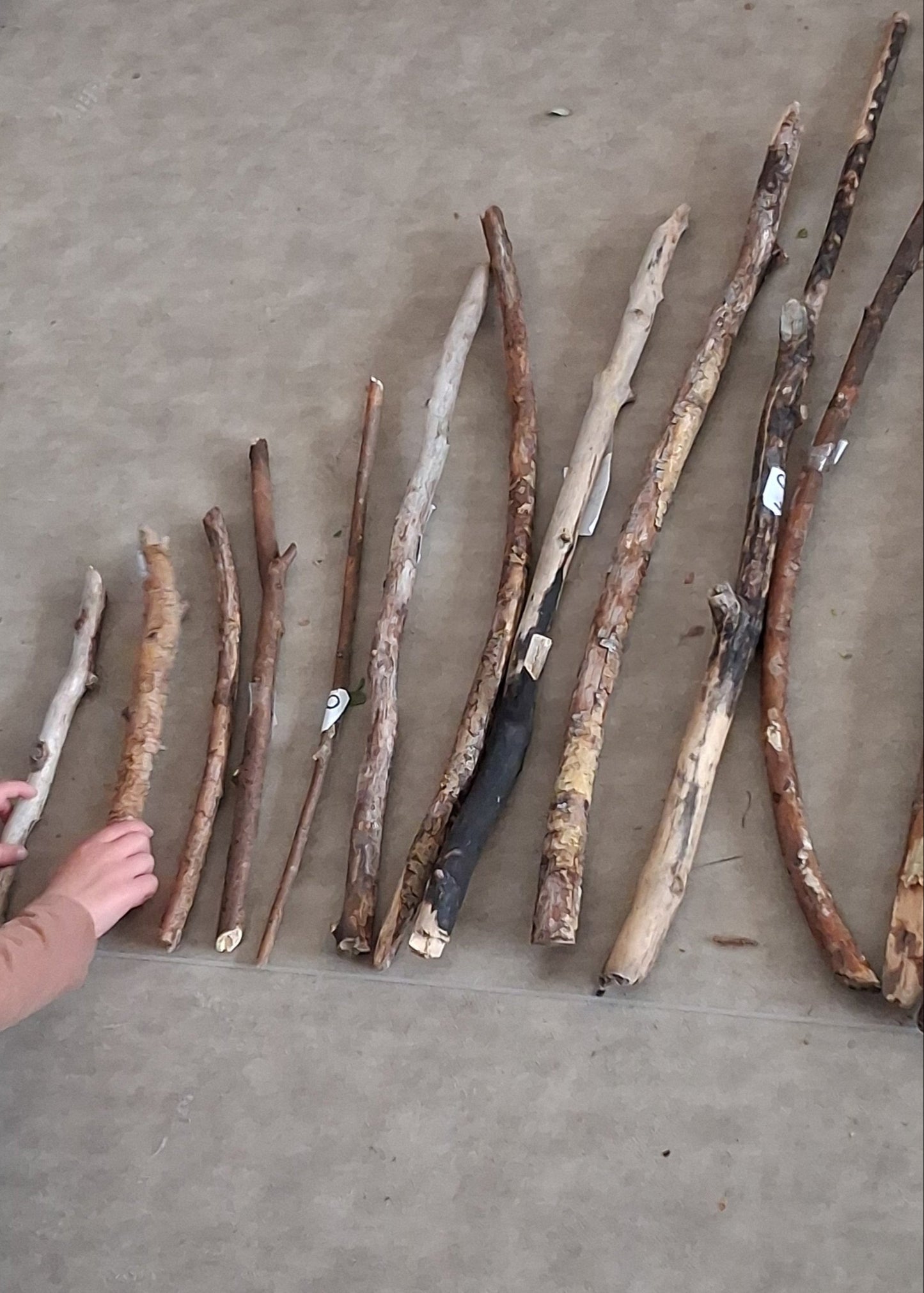 thema bos, bos, thema herfst, herfst, bomen , takken meten, kleuters, groep 1/2, spel, rekenen, meten, vergelijken, de themahoek, themahoek, woordenschat