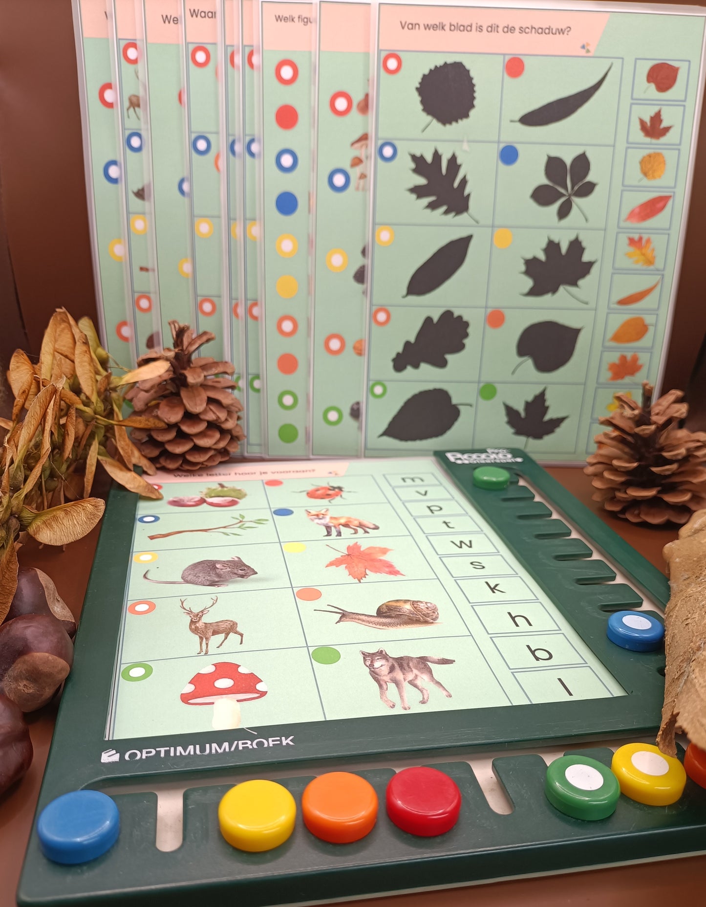 thema bos piccolo, woordenschat bos, kleuters, groep 1/2, themhoek bos, de themahoek