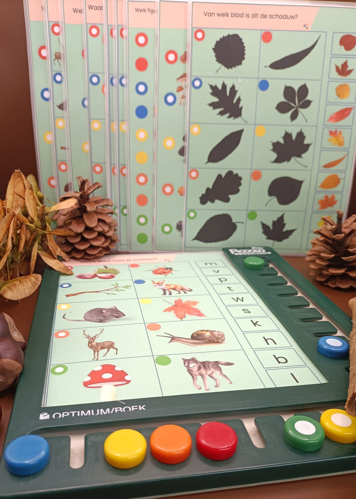 thema bos piccolo, woordenschat bos, kleuters, groep 1/2, themhoek bos, de themahoek