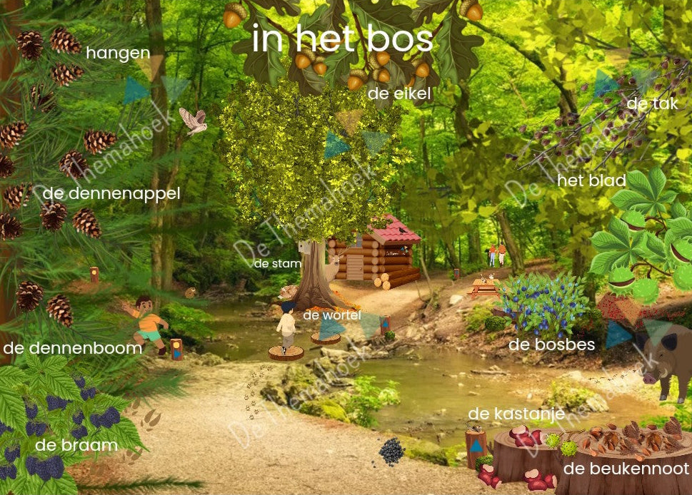 woordkaarten thema bos, woordplaten, woordenschat, kleuters, nt2, thema bos, themahoek bos, de themahoek