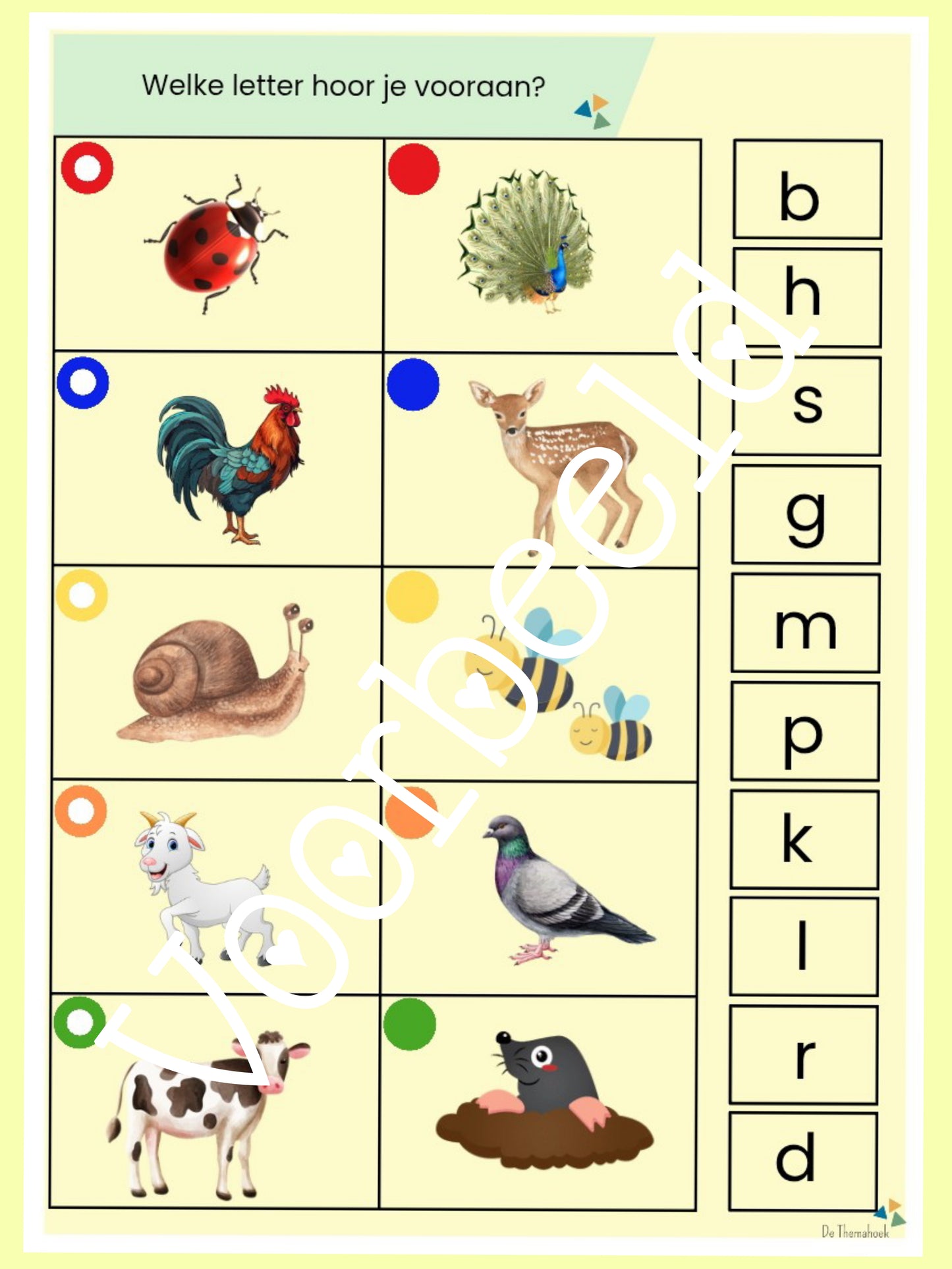 lente piccolo voor groep 1/2, kleuters, nt2 onderwijs, de themahoek, themahoek, taal en rekenen