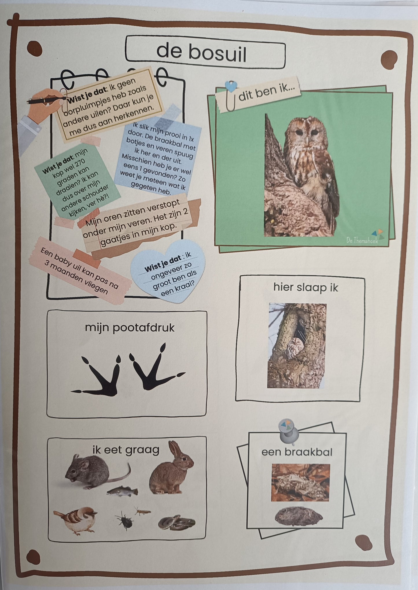 themahoek kleuters bos, thema bos groep 1/2, spelhoek, rollenkaartjes themahoek, de themahoek, groep 3, informatiebladen bos