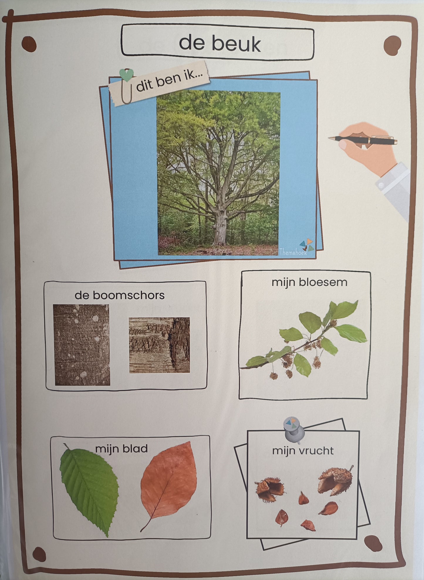 themahoek kleuters bos, thema bos groep 1/2, spelhoek, rollenkaartjes themahoek, de themahoek, groep 3 thema bos