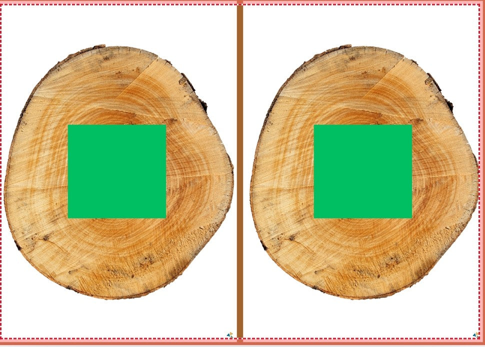 vorm en kleur bos groep 1/2, kleuters, thema bos, de themahoek