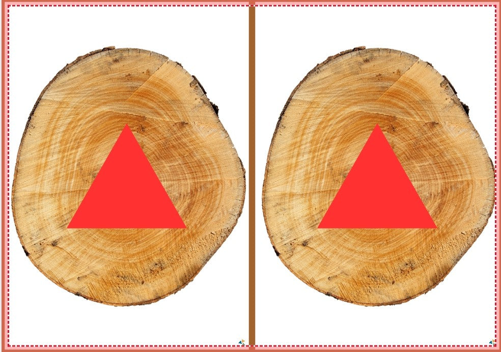 bos vorm en kleur, kleuters, thema bos, de themahoek