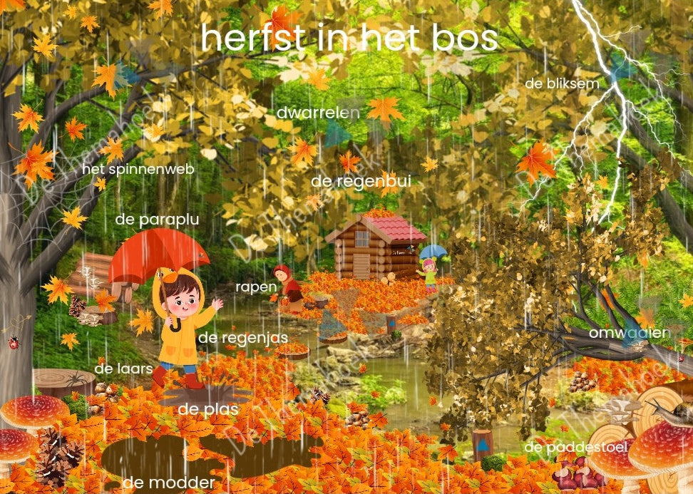 woordplaten thema bos, woordkaarten bos kleuters, groep 1/2, woordenschat, themahoek bos, op avontuur in het bos, thema vol avontuur, kinderboekenweek 2025, de themahoek