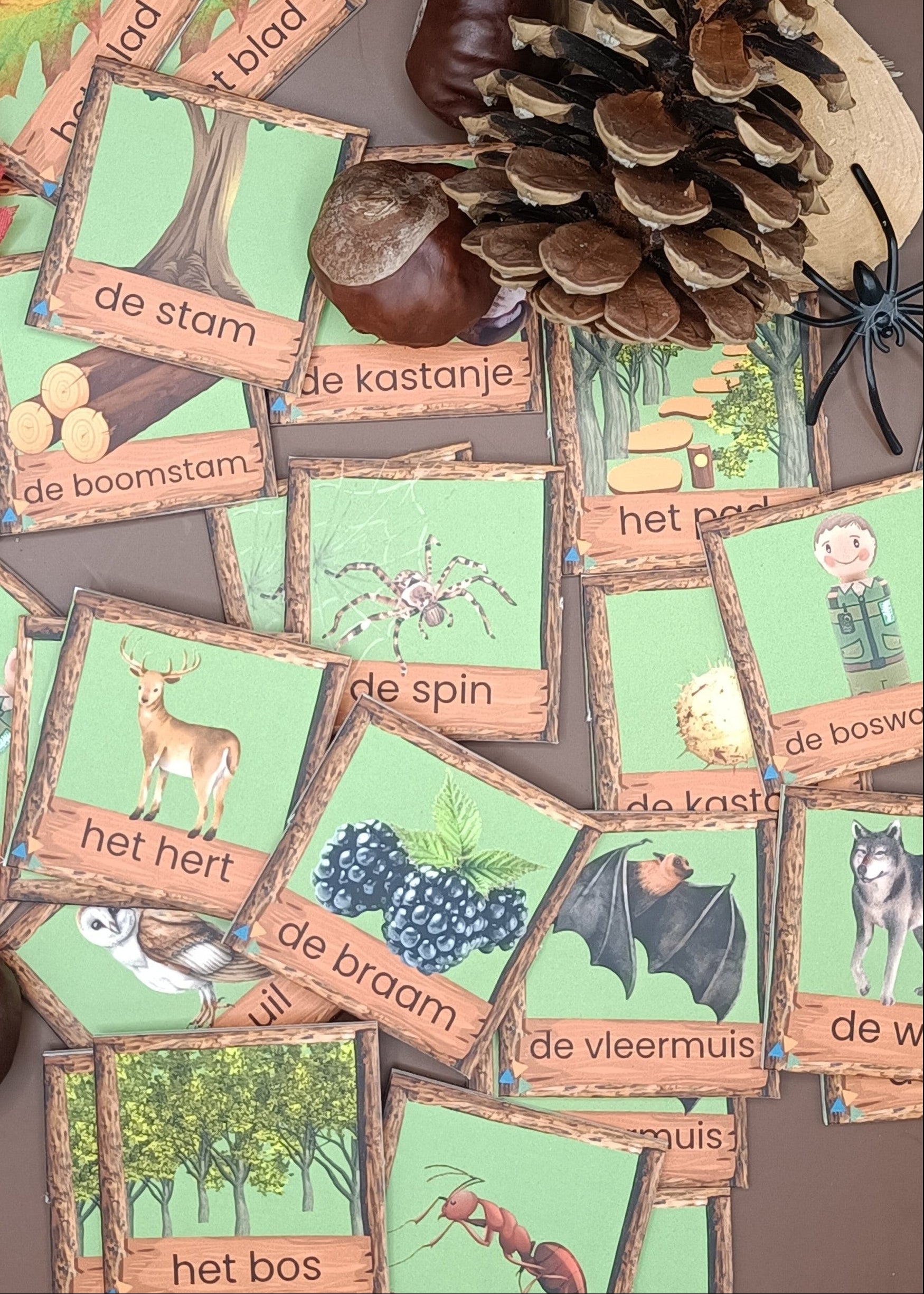 spel thema herfst kleuters, woordkaartjes, bos, thema bos, herfst, thema herfst, kleuters, groep 1/2, woordenschat, spel, de themahoek, themahoek bos, spelhoek