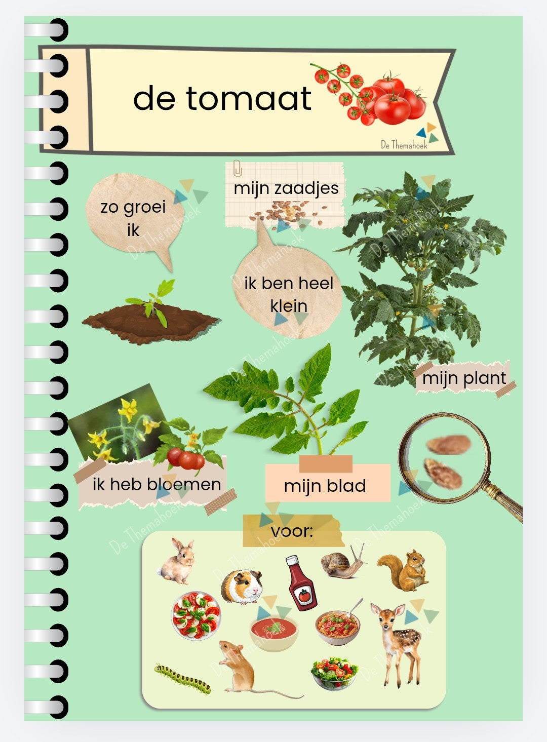 Boerderij Themahoek aanvulling