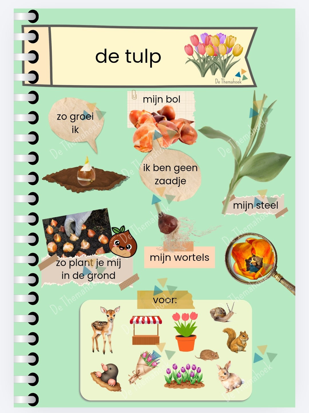 Boerderij Themahoek aanvulling