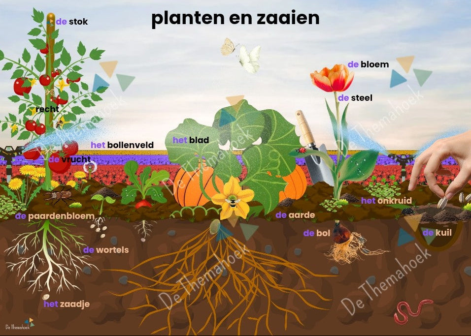 thema boerderij, kleuters, groep 1/2, woordkaart, woordkaarten, woordplaat, de boerderijwinkel, auditieve oefeningen, woordenschat, nt2 onderwijs, de themahoek, thema boerderij, thema lente, praatplaat, woordplaat