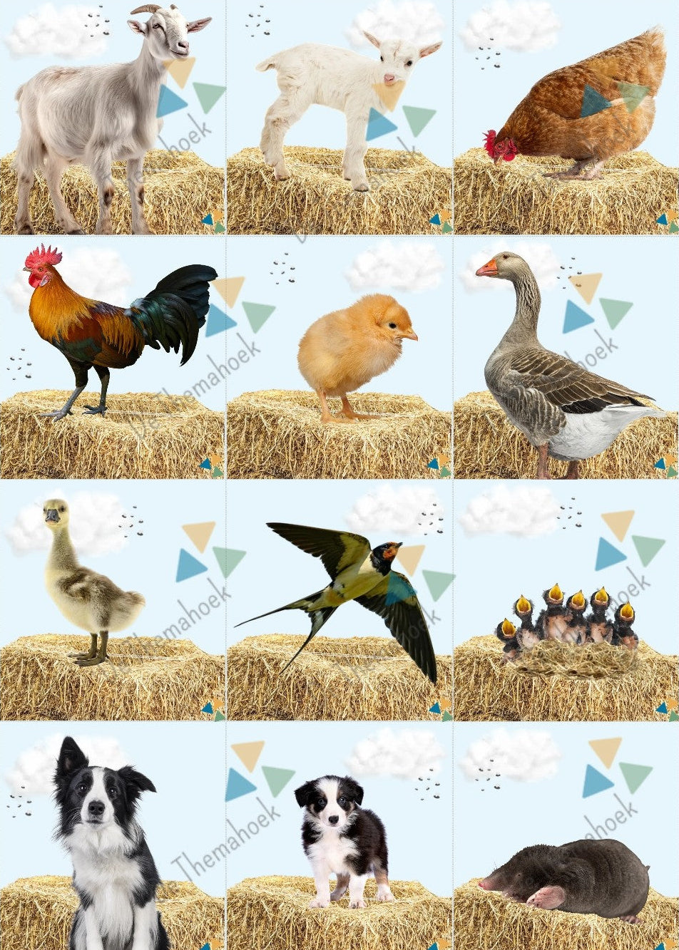 bewegend leren, thema boerderij, kleuters, groep 1/2, spel thema boerderij, op de boerderij, woordenschat thema boerderij, woordenschat, renspel thema beorderij, boerderijdieren spel, de themahoek, themahoek boerderij