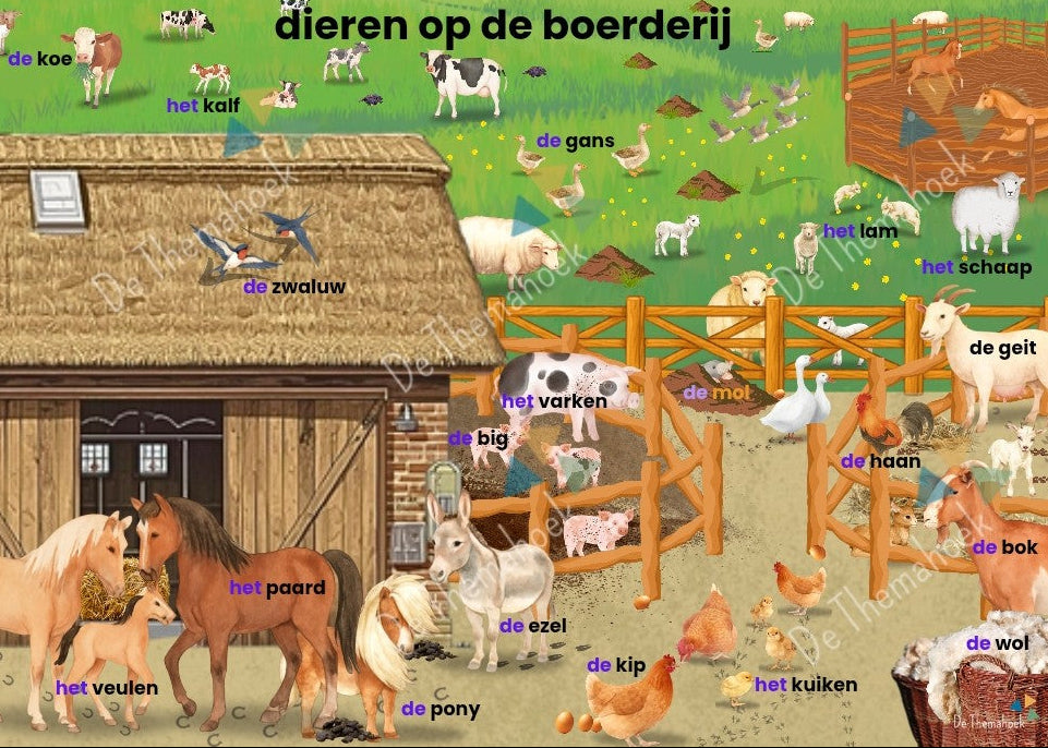 thema boerderij, kleuters, groep 1/2, woordkaart, woordkaarten, woordplaat, de boerderijwinkel, auditieve oefeningen, woordenschat, nt2 onderwijs, de themahoek, boerderij, thema lente, praatplaat, woordplaat, thema lente, lente, woordkaartjes