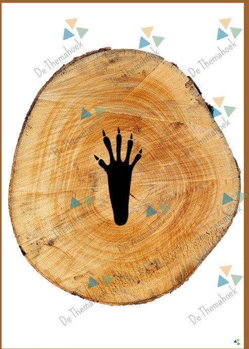 dieren en hun sporen, dierensporen, bosdieren, thema bos, pootafdrukken dieren, groep 1/2, kleuters, thema in het bos, op avontuur in het bos, thema herfst, thema dieren, de themahoek, themahoek bos, de boswachter, thema boswachter
