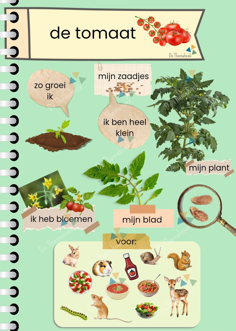 thema boerderij, informatiebladen, kleuters, groep 1/2, aanvankelijk lezen, themahoek boerderij, thema op de boerderij, boerderijdieren, dieren van de boerderij, op de boerderij met kleuters, leeshoek, de themahoek, themahoek
