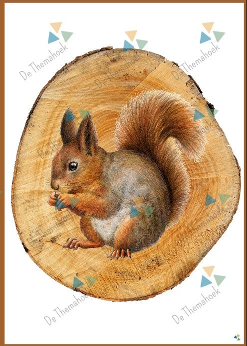 dieren en hun sporen, dierensporen, bosdieren, thema bos, pootafdrukken dieren, groep 1/2, kleuters, thema in het bos, op avontuur in het bos, thema herfst, thema dieren, de themahoek, themahoek bos, de boswachter, thema boswachter