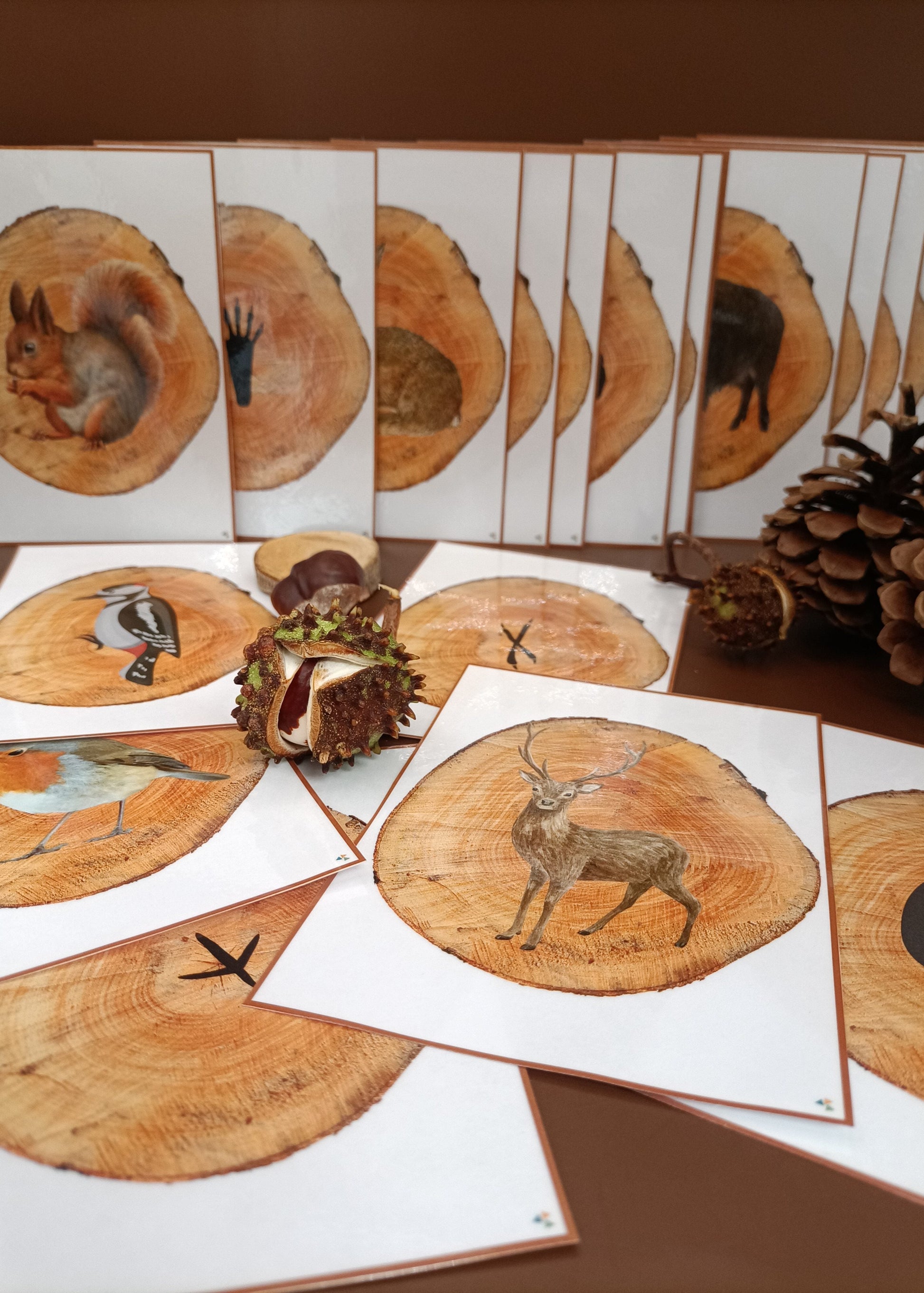 thema bos, kleuters, sporen dieren, dieren in het bos, bosdieren, groep 1/2, rekenen, themahoek bos, de themahoek, thema herfst, herfst 
