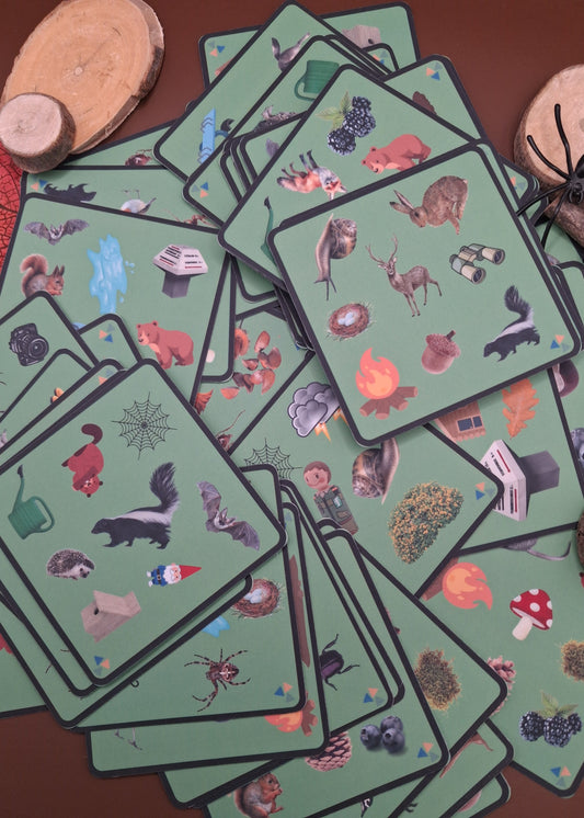 spel, dobble, thema bos, thema herfst, kleuters, woordenschat, woordkaarten, groep 1/2, bos, boshoek, themahoek bos, de themahoek, spel bos