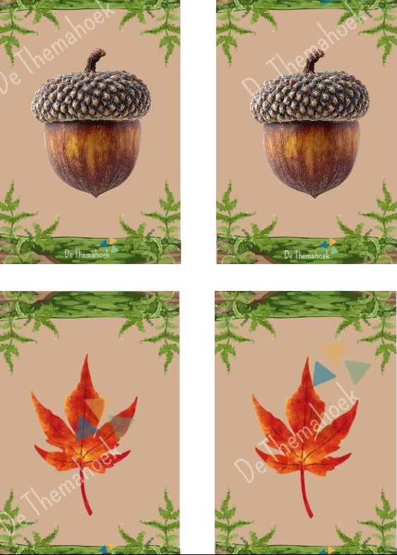 halli galli, bos, samen 5, rekenen, thema bos, kleuters, groep 1/2, tellen, spel thema bos, inloop, de themahoek