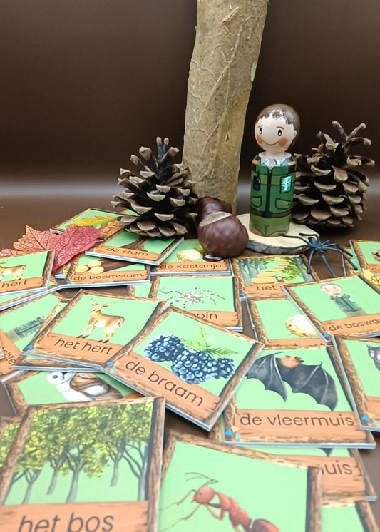 thema bos woordkaarten kleuters, bos memory, groep 1/2 thema bos, themahoek bos, de themahoek, woordenschat bos