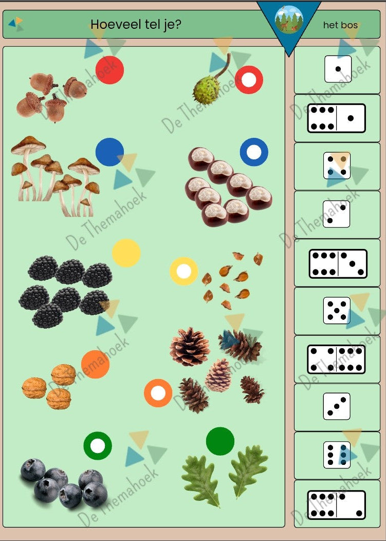 piccolo bos, piccolo, piccolokaarten, thema bos, kleuters, groep 1/2, de themahoek, themahoek bos, woordenschat, rekenen, tellen, cijferherkenning, letterkennis, vorm en kleur, piccolo kleuters, thema bos kleuters, thema bos groep 1/2