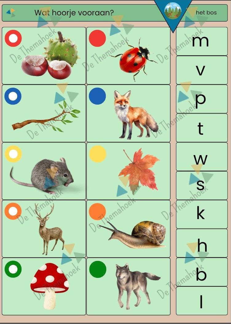piccolo bos, piccolo, piccolokaarten, thema bos, kleuters, groep 1/2, de themahoek, themahoek bos, woordenschat, rekenen, tellen, cijferherkenning, letterkennis, vorm en kleur, piccolo kleuters, thema bos kleuters, thema bos groep 1/2