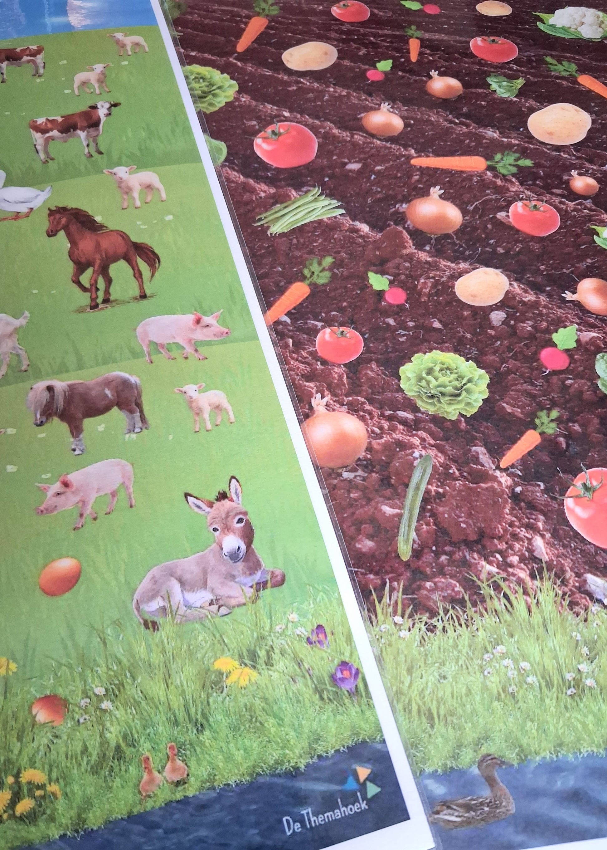 grafieken, boerderijdieren, groente, tellen, staafgrafiek, de themahoek, woordenschat, rekenen, thema boerderij, kleuters, groep 1/2