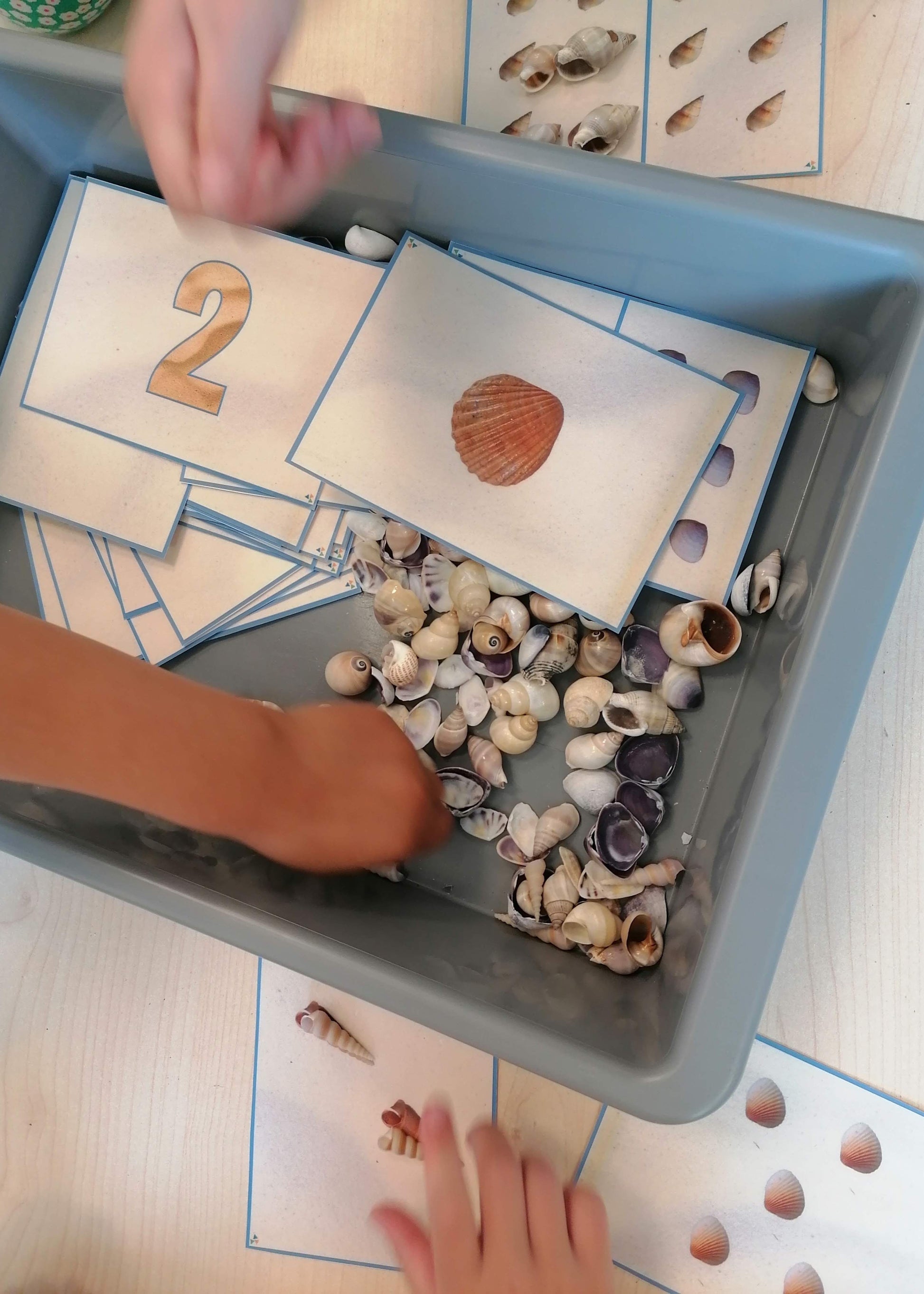 telkaarten piraten, groep 1/2, kleuters, cijferkaarten, thema piraten, themahoek piraten, thema de zee, thema het strand, schelpen tellen, rekenen, cijferherkenning kleuters, de themahoek