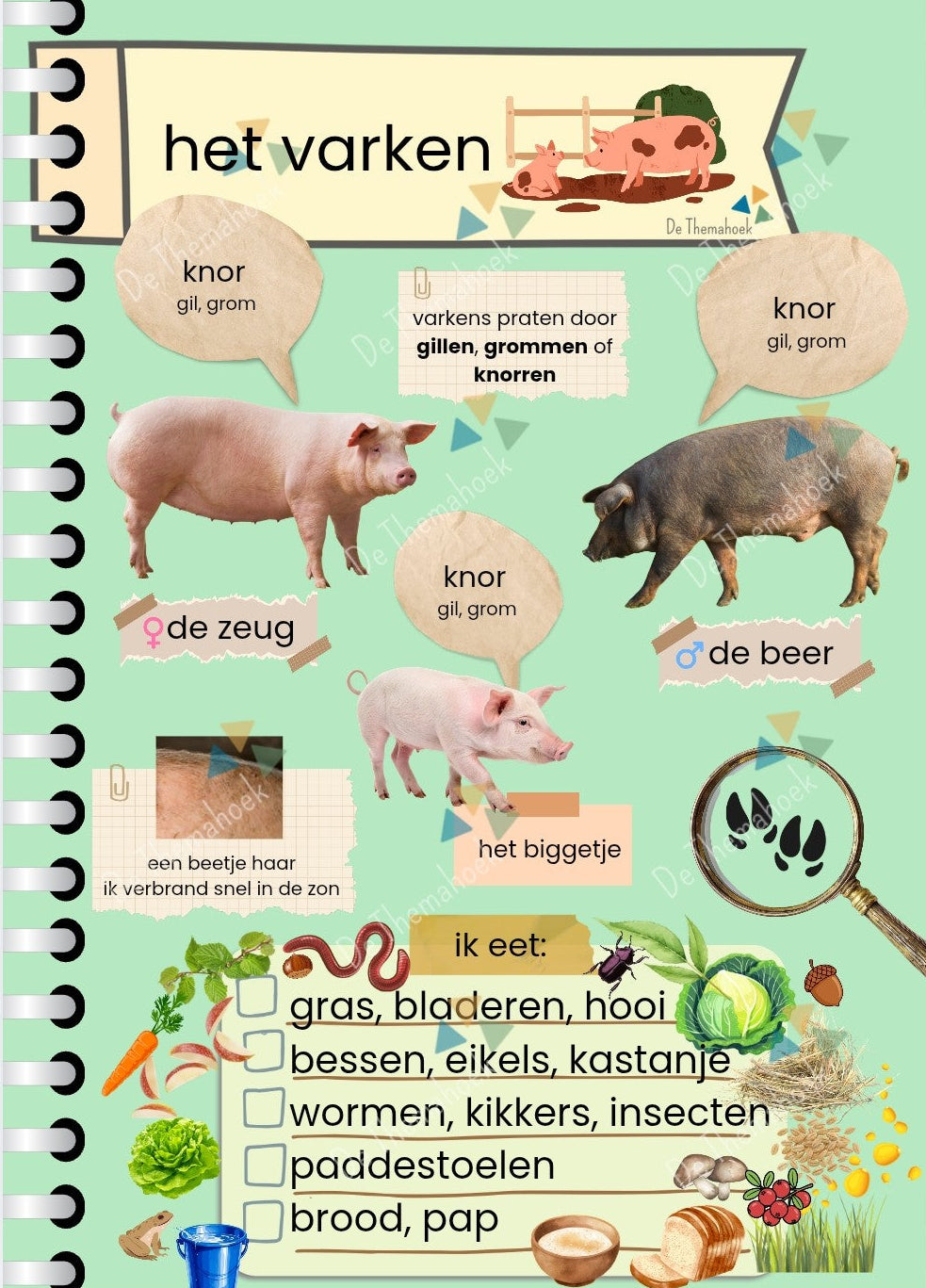 thema boerderij, informatiebladen, kleuters, groep 1/2, aanvankelijk lezen, themahoek boerderij, thema op de boerderij, boerderijdieren, dieren van de boerderij, op de boerderij met kleuters, leeshoek, de themahoek, themahoek, de boerderijwinkel