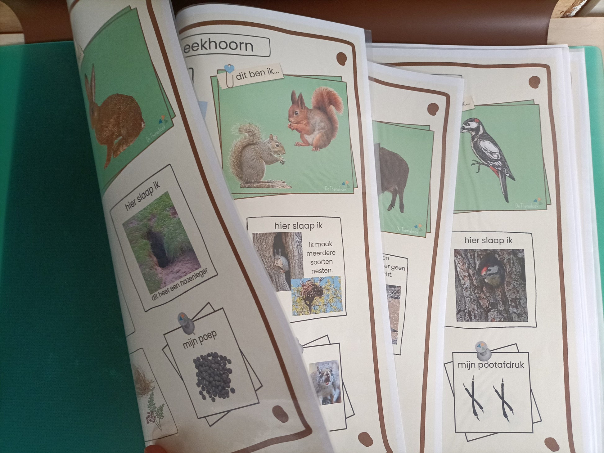 spelhoek groep 1/2, themahoek kleuters bos, thema bos groep 1/2, spelhoek, rollenkaartjes themahoek, de themahoek