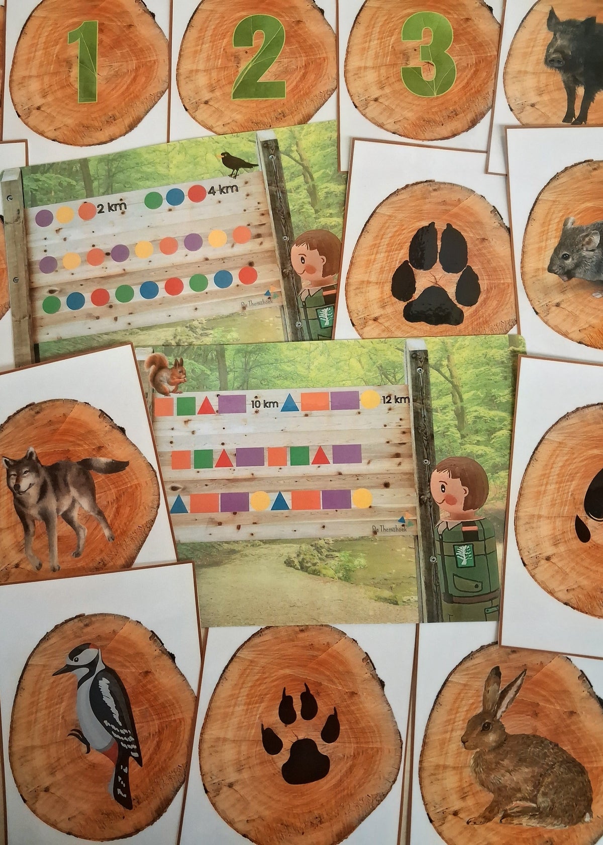 rekenen, thema bos, kleuters, groep 1/2, tellen, telkaarten, cijfers, cijferkaarten, patronen, vorm en kleur, inloop, kringactiviteit rekenen thema bos, rekenactiviteit thema bos, rekenles thema bos kleuters, de themahoek, themahoek bos