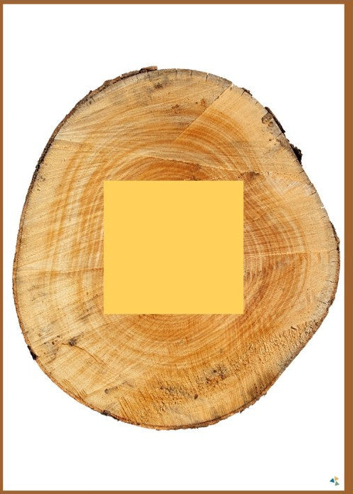 vorm en kleur, vormen, kleuren, thema bos, vormen en kleuren, kleuters, groep 1/2, de themahoek, themahoek bos