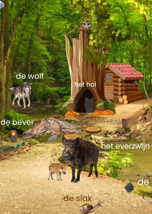 thema bos, op avontuur in het bos, kleuters, groep 1/2, woordkaarten, auditieve oefeningen, taalontwikkeling, de themahoek, themahoek bos